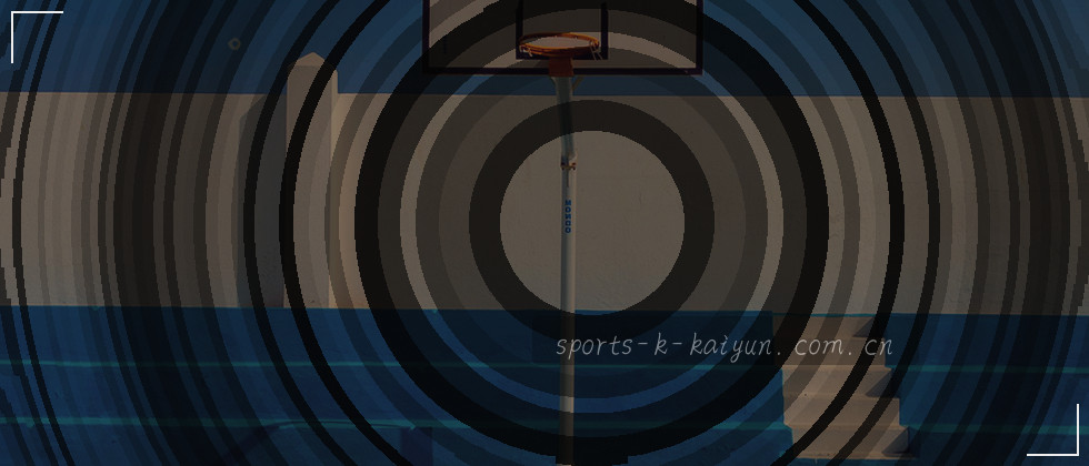 一份数据隐私保护图：盾牌锁住个人数据，背景是二进制代码。